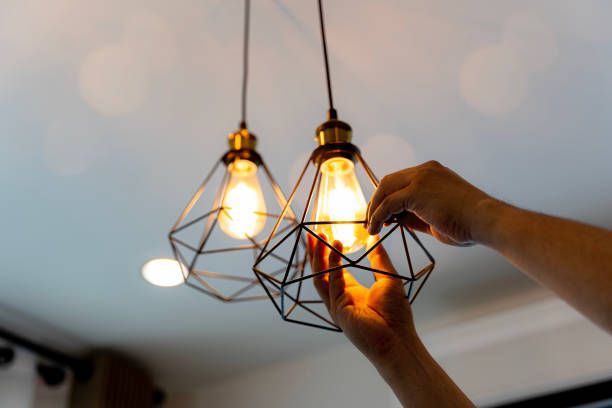 Best Electric Panel Repair  in Douglas, WY